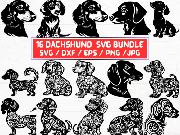 Dachshund SVG, DXF, EPS, JPG, PNG: A Versatile Digital Asset for Creative and Practical Uses