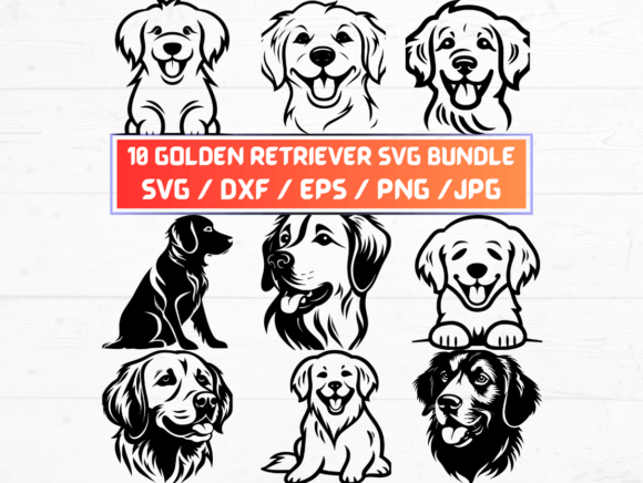 Golden Retriever SVG File: A Versatile Digital Asset for Designers and Creators