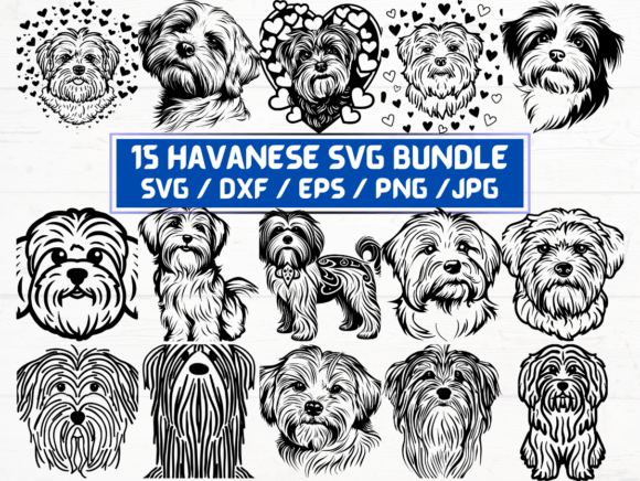 Havanese Svg Bundle for Designers and Creators