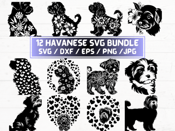 Havanese SVG DXF EPS JPG PNG Files