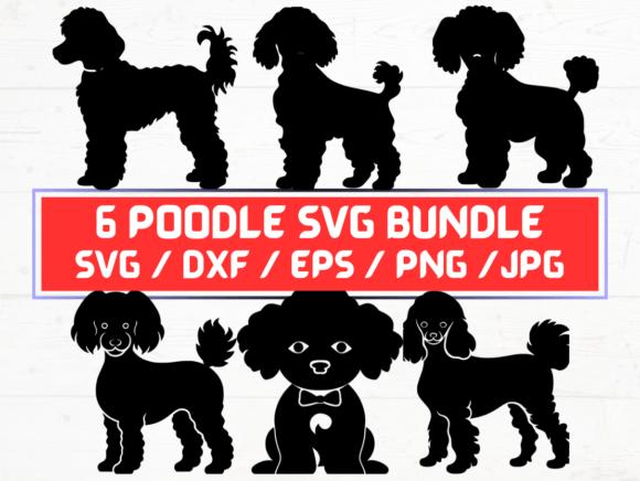 Poodle SVG, DXF, EPS, JPG, PNG: A Versatile Digital Asset for Creative and Professional Workflows