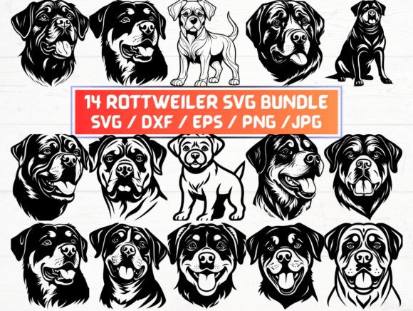 Rottweiler SVG Files: A Comprehensive Guide for Designers and Creators