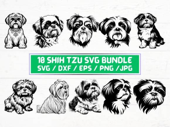 Shih Tzu Dog SVG File