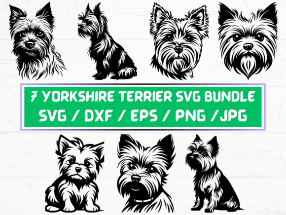 Yorkshire Terrier Dog Svg File